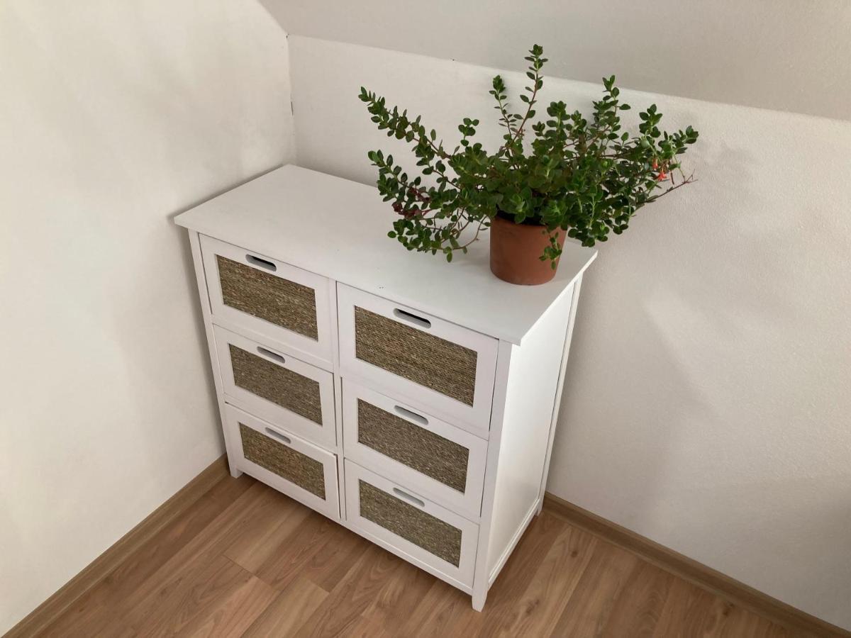 Apartmany U Reky Nezarky Lásenice المظهر الخارجي الصورة